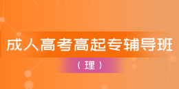 成考高起专辅导班（语数英）(理)